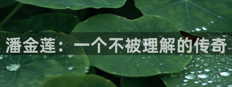 韩漫漫画下拉式阅读：潘金莲：一个不被理解的传奇