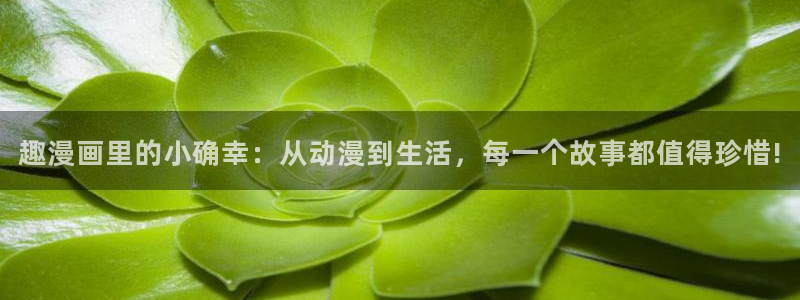 韩漫漫画免费阅读看漫画下拉在线观看：趣漫画里的小确幸：从动漫到生活，每一个故事都值得珍惜!