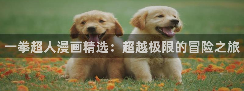 韩漫漫画全集：一拳超人漫画精选：超越极限的冒险之旅